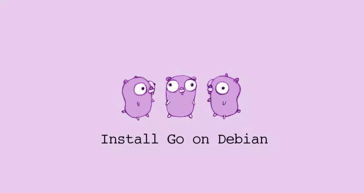 如何在 Debian 10 Linux 安装 Go