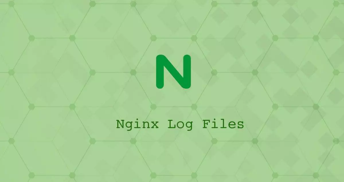 配置Nginx访问与错误日志