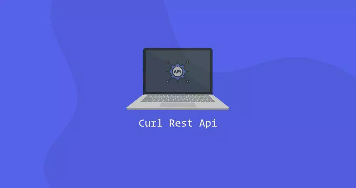 使用Curl发送REST API请求