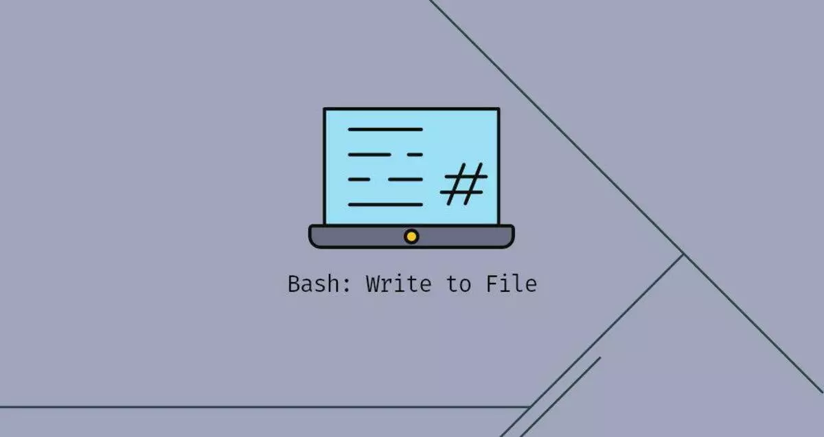 Bash:写入文件