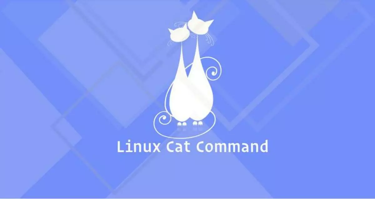 cat 命令打印行号